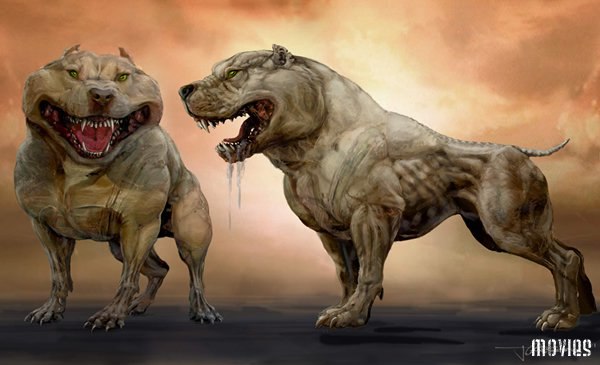 Станислав Климович | Гомель