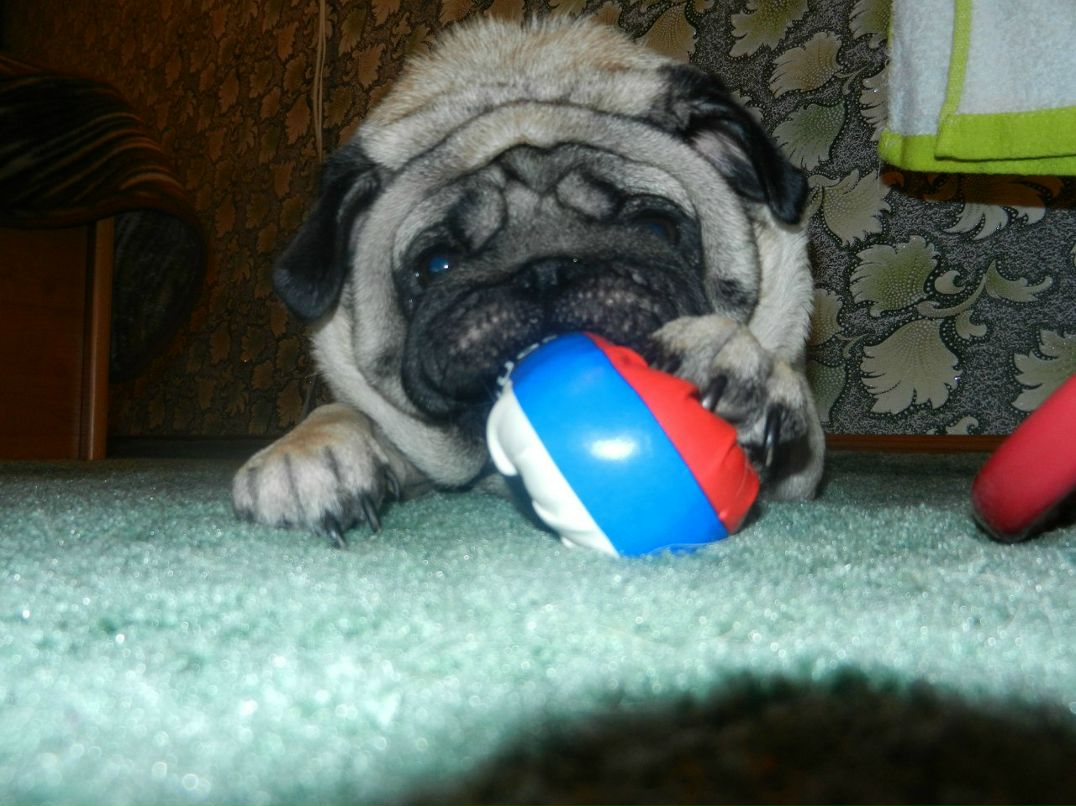 Ольга Федосеева | Себеж