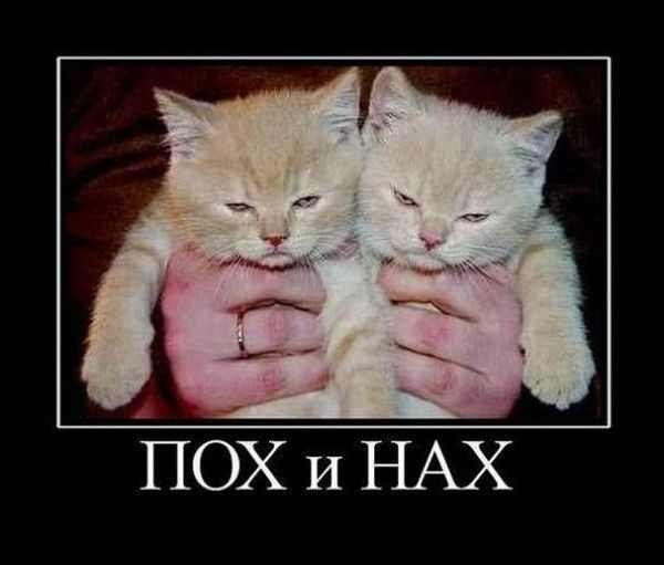 Серёга Квасов | 