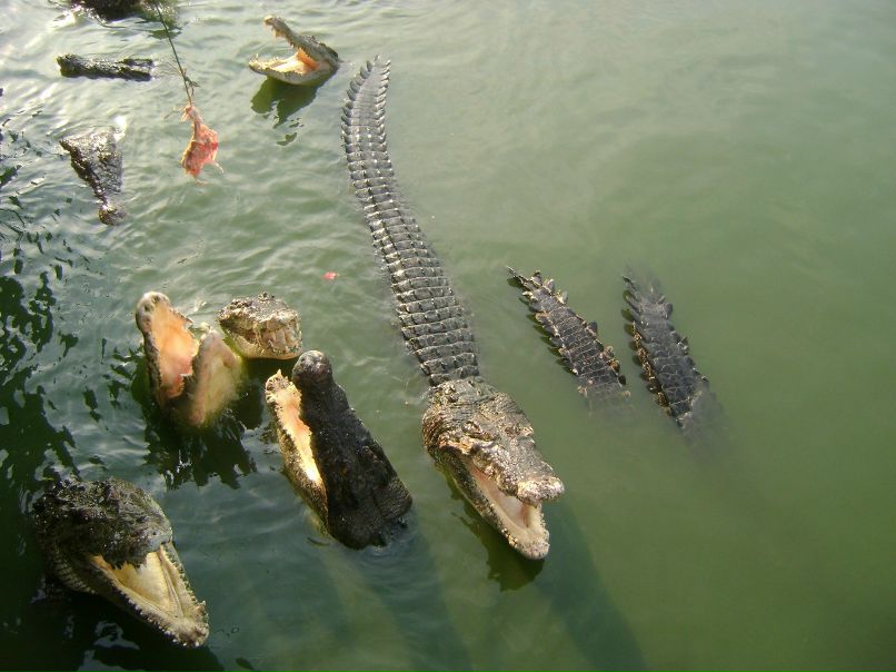 Гульнара Ибатуллина | Казань