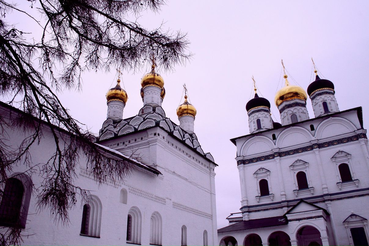 Антон Герасимов | Солнечногорск