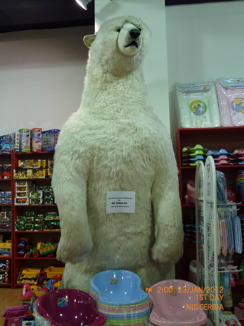 Марина Сойфер | Modi'in-Maccabim-Re'ut