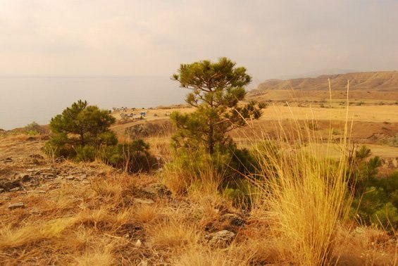 Виктор Каменский | Москва