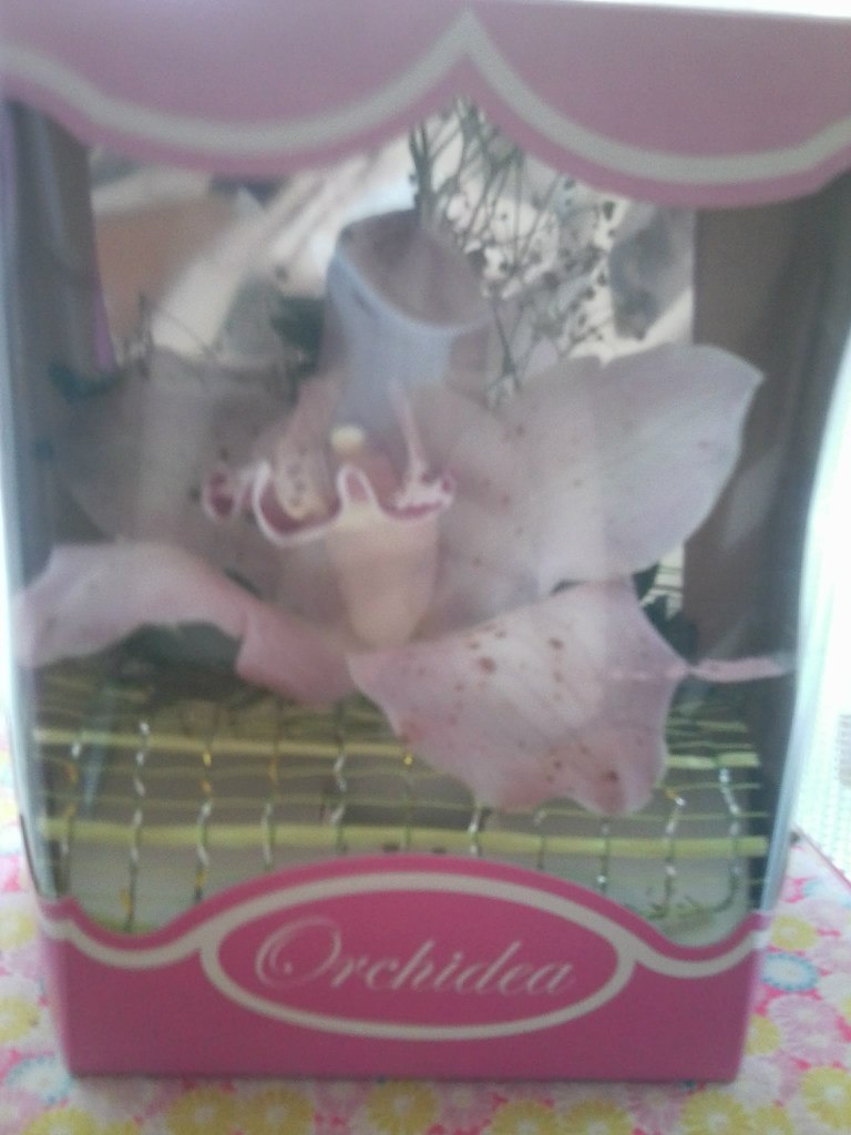 Марина Зыкрина | Николаев