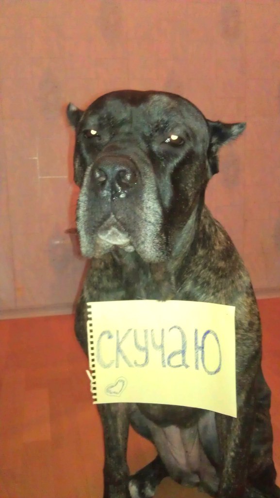 Кристина Бурдыко | Нарьян-Мар