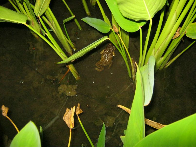 Юлия Уголева | Москва