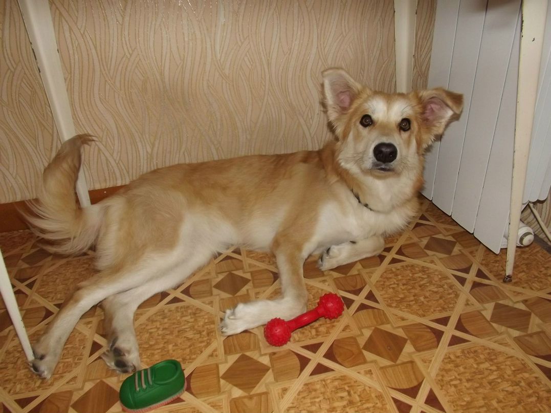 Екатерина Сатдарова | Красноярск