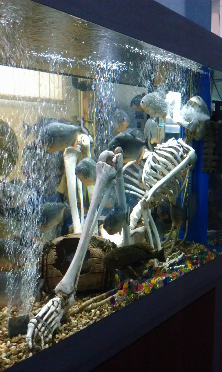 Кристина Дрёмина | Рязань