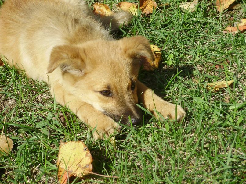 Настя Моравская | Киев