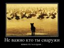 №15 Светлана Ионкина 15.03: профиль, фото, статус - ВКонтакте