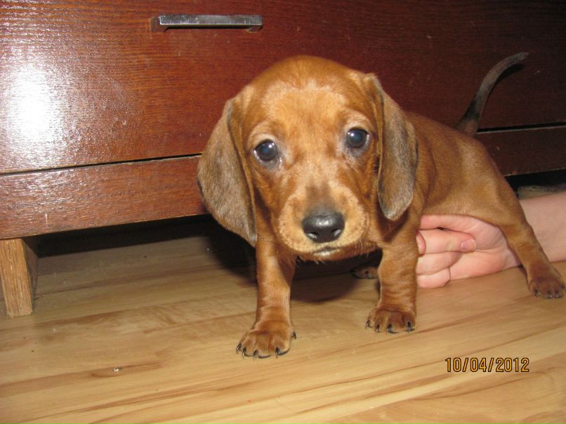 Вася Тюрин | Санкт-Петербург