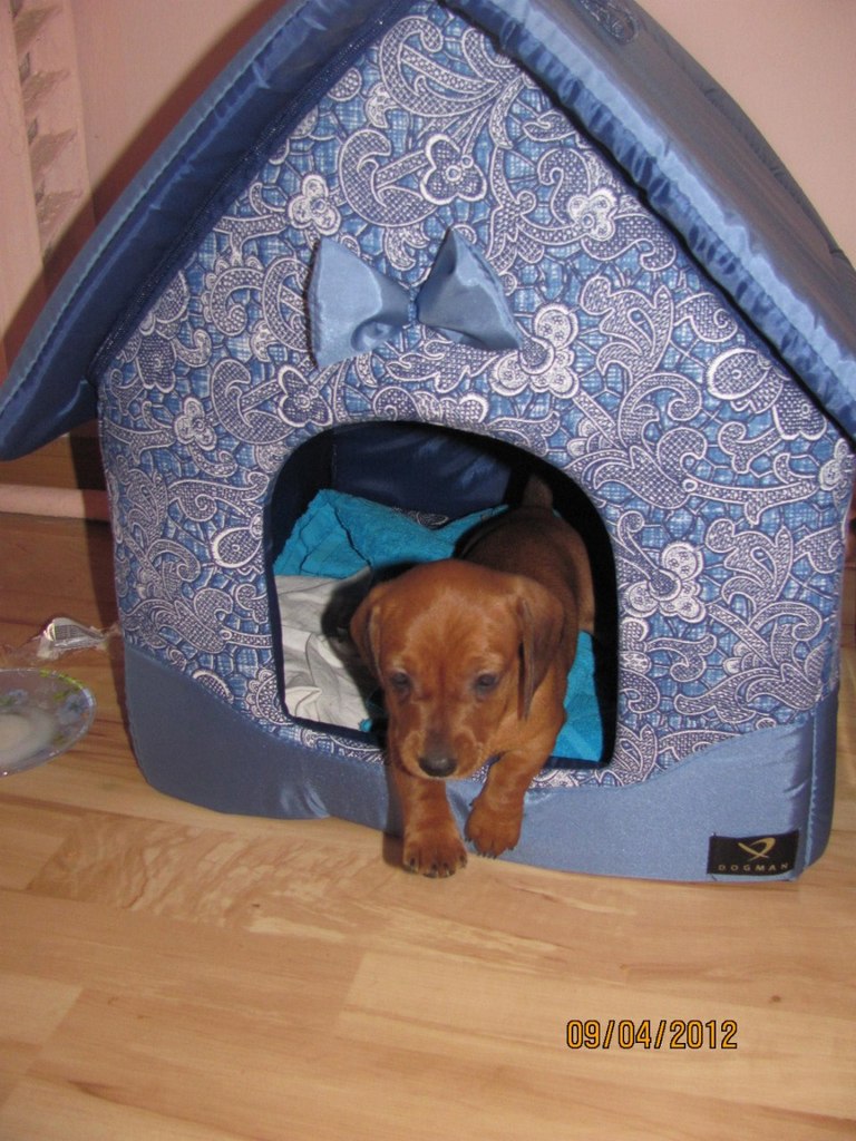 Вася Тюрин | Санкт-Петербург