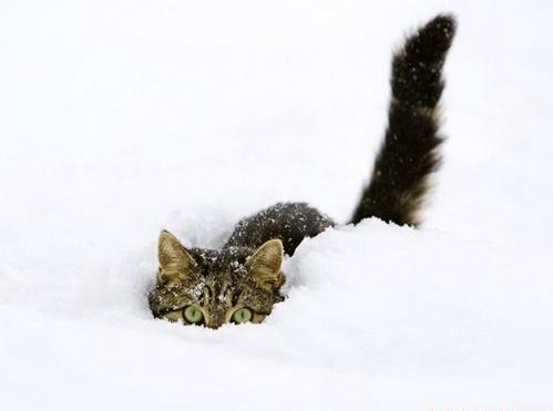 Наташа Кузнецова | Los Angeles