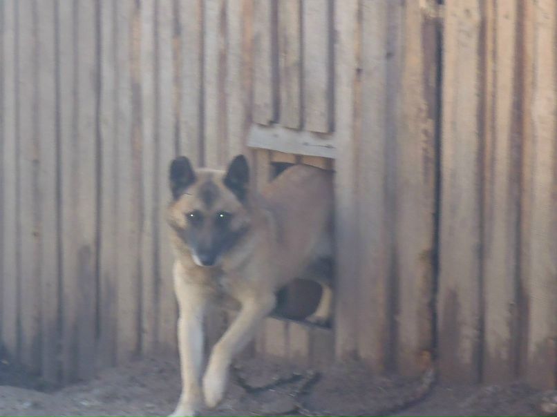 Денис Кургузов *<люблю | Няндома