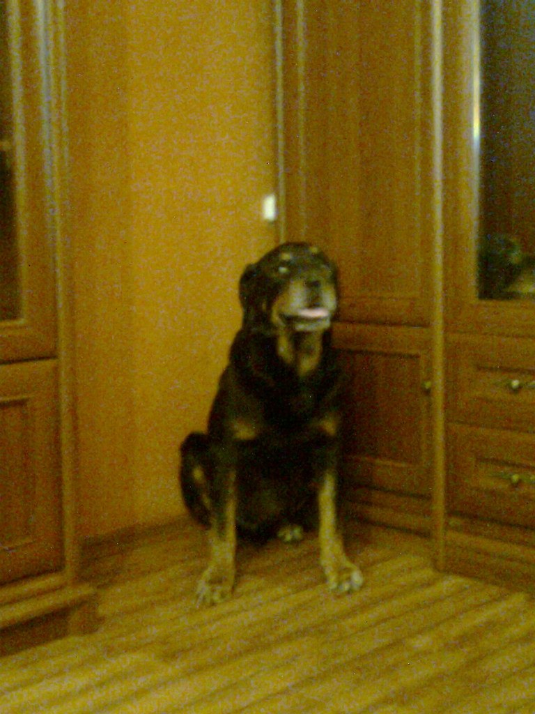 Артем Ефремов | Сыктывкар