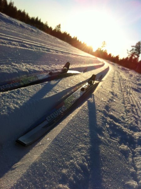 Артур Смирнов Альбертович | Кужмара