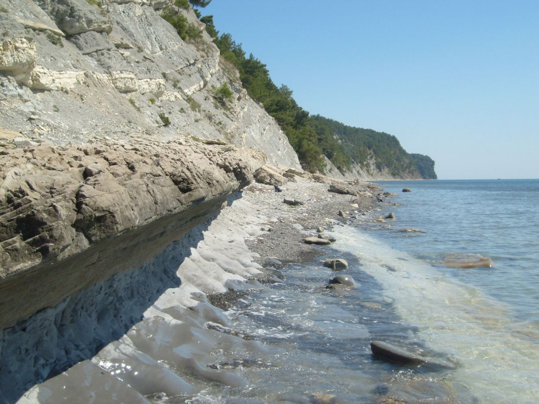 Татьяна Малютина | Тольятти