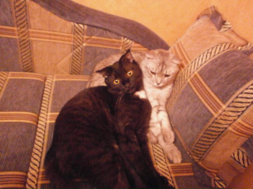 Ксения Ахметова | Тольятти