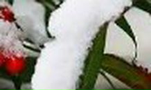 Татьяна Саганова | Пугачев