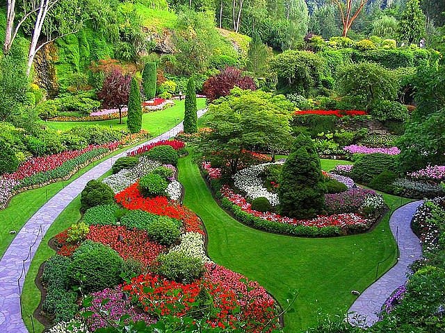 Дима Сарычев | Волгоград