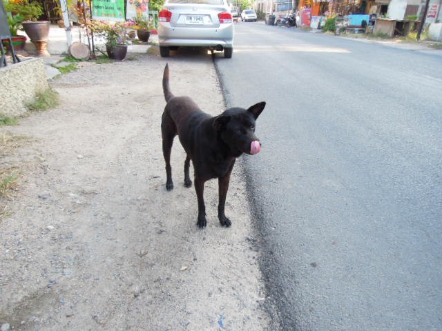 Антон Сараев | Санкт-Петербург