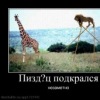 Аватар: Hhhh Qqq