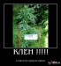 Илья Марченко фотография #19