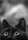 Фотография Анастасия Ильина