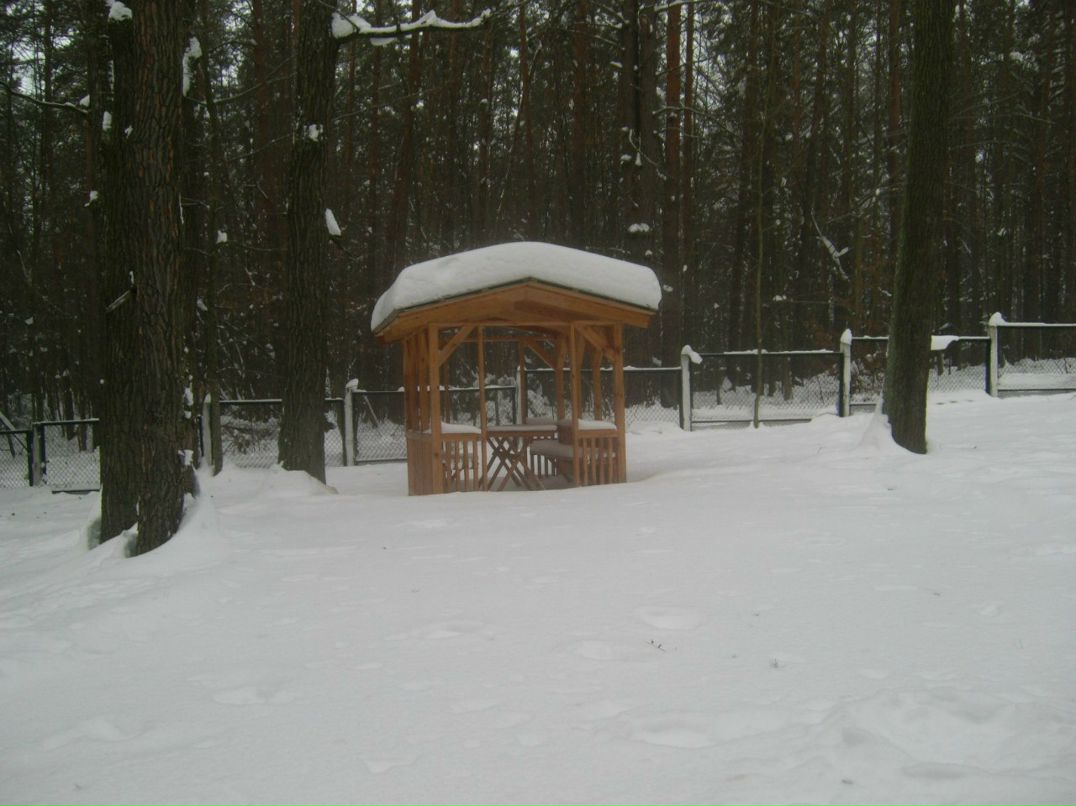 Олександра Коцюбинская олеговна | Житомир