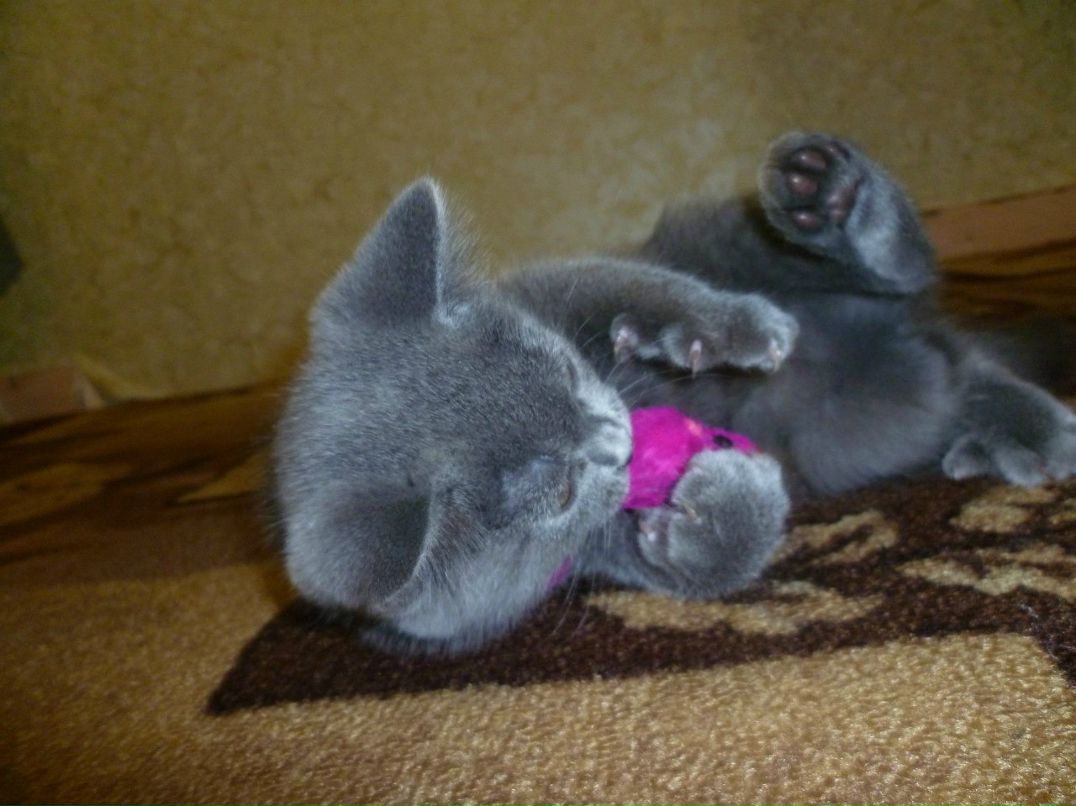 Валюша Мишина | Екатеринбург