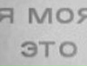 Артем Шутов | Коломна