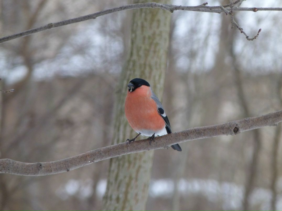 Инна Малмыга | Санкт-Петербург
