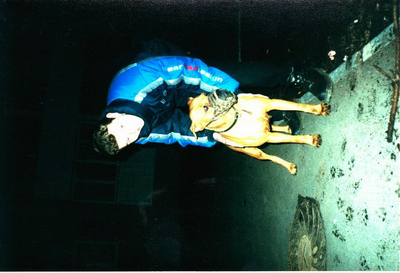 Всеволод Студитский | 