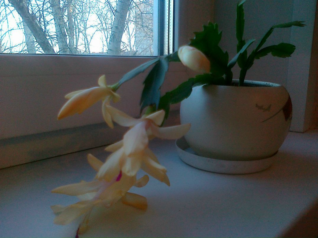 Ирина Шатова | Челябинск