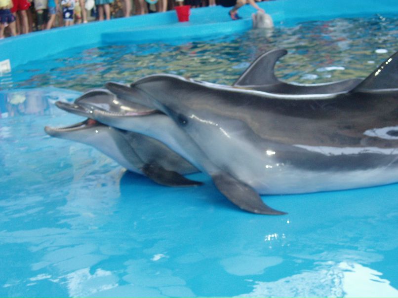 Наталья Руденко | Черногорск