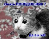 Фотография Олександр Омельчук