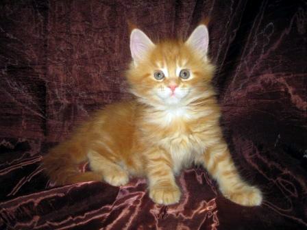 Нина Мошкина | Калуга