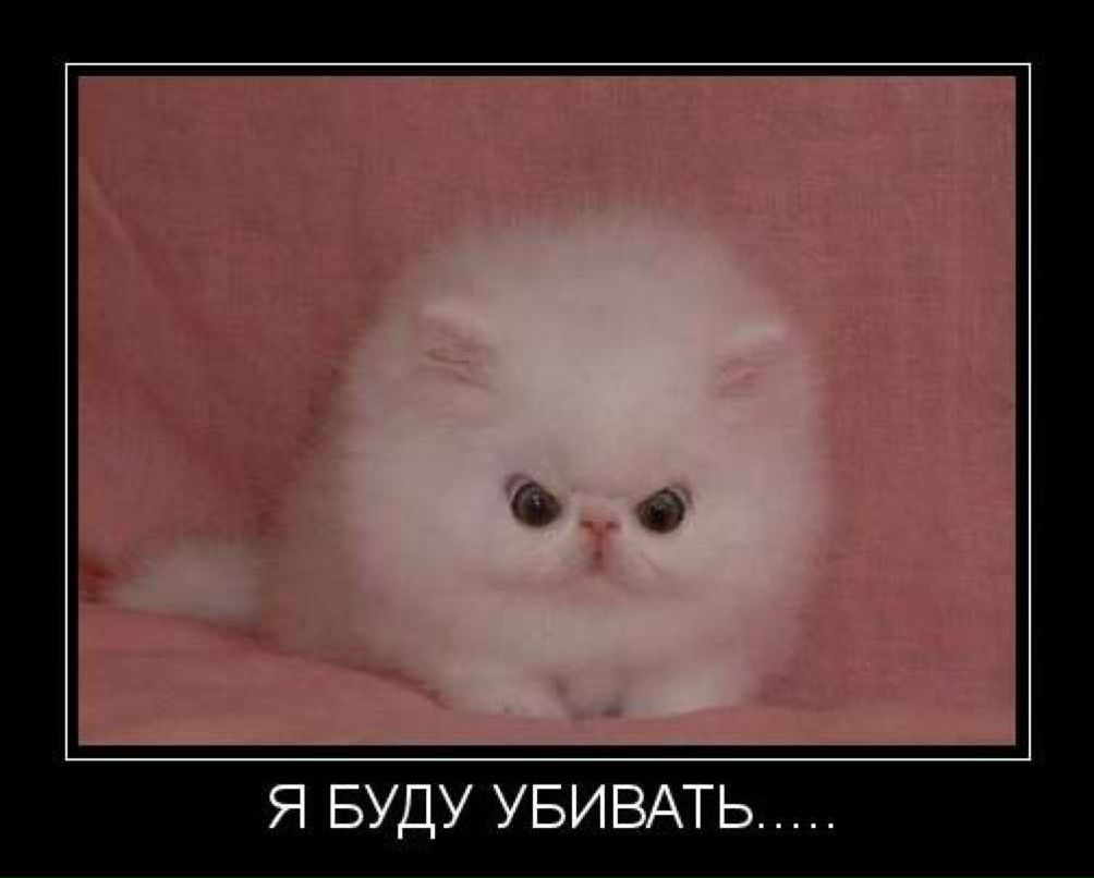 Серёга Кормилицын | Москва