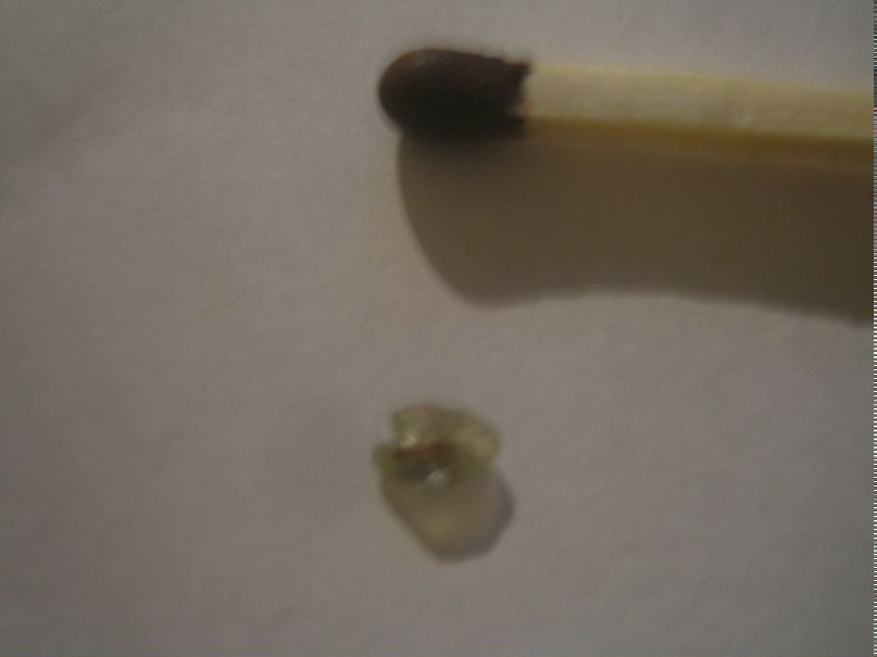 Мария Башлачева | Коряжма