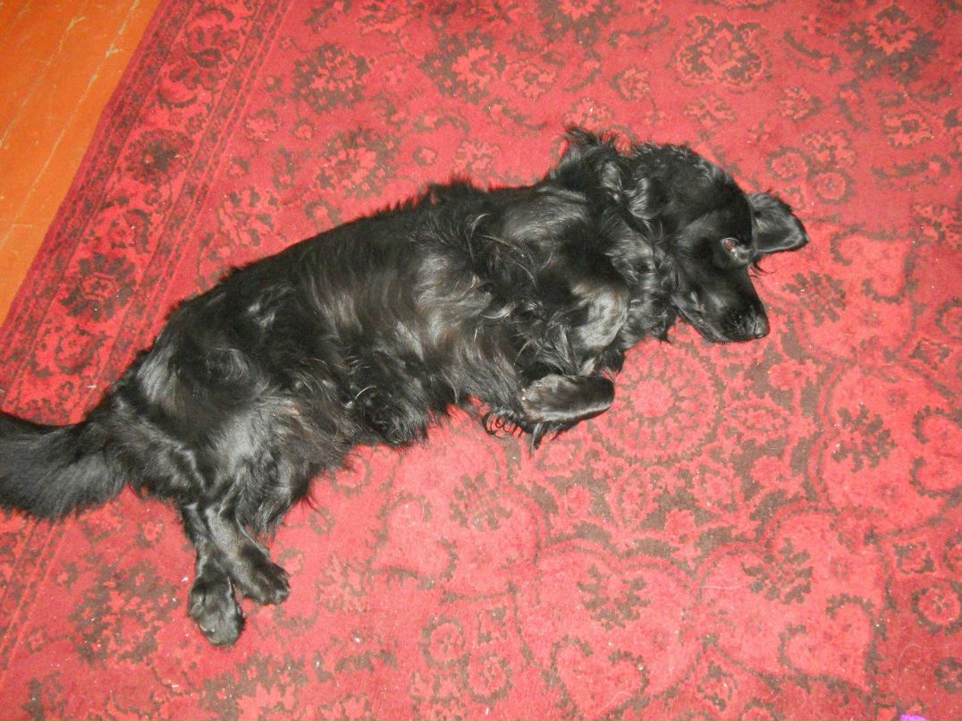 Алла Любовина | Петрозаводск