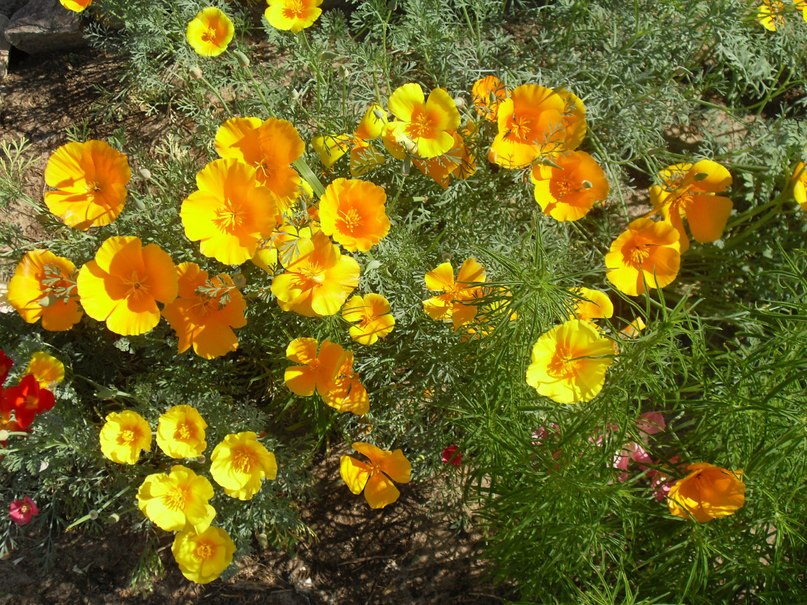 Мария Мурина | Городецк