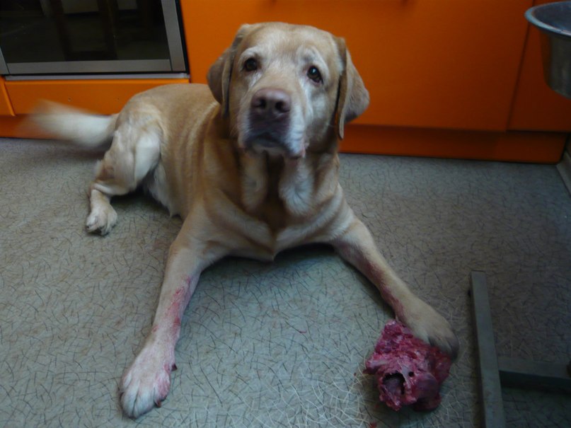 Антон Репников | Ярославль