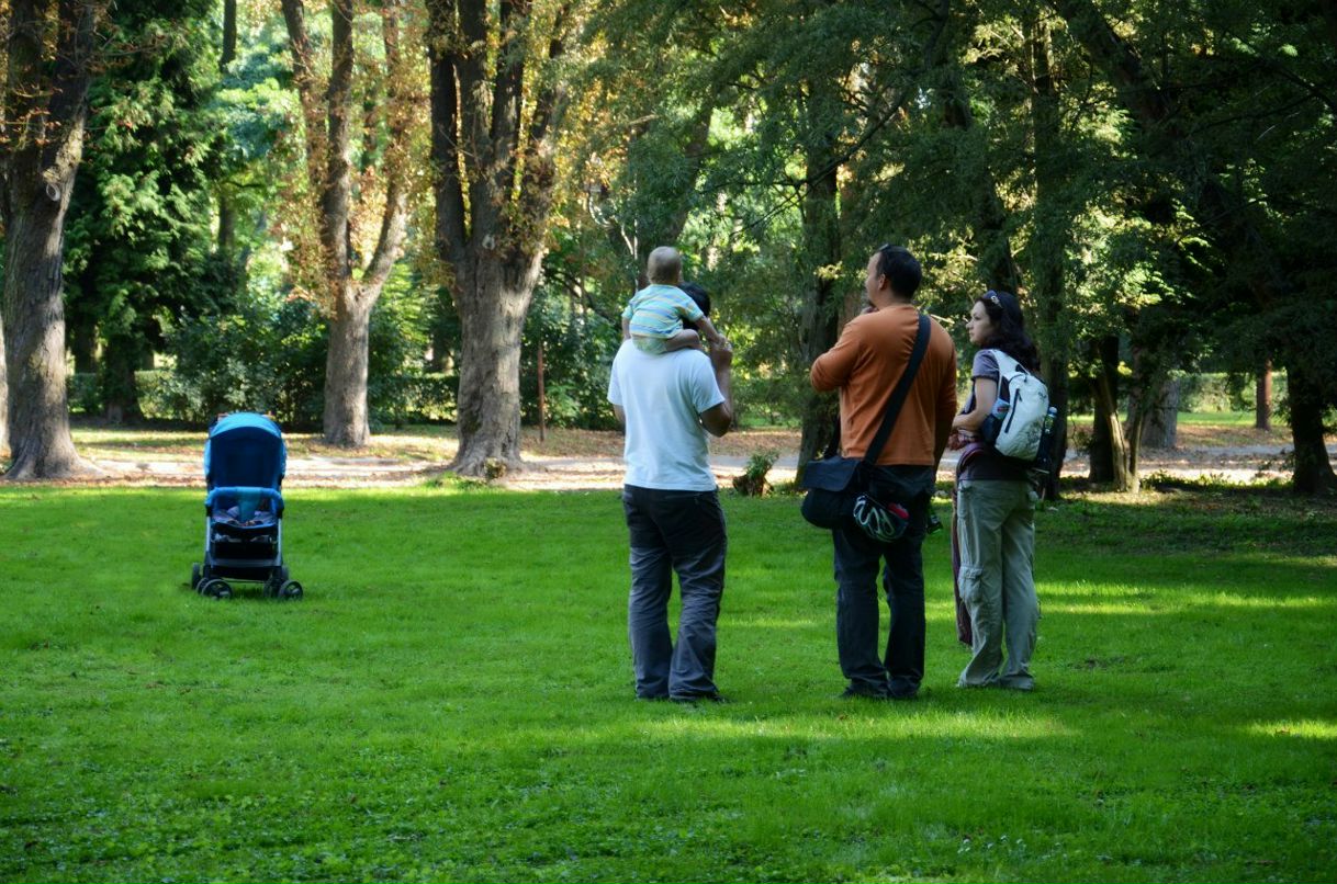 Сергей Денисов | Львов