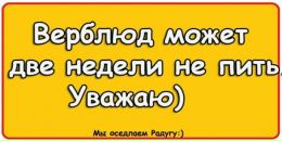 №4, Олька Давыдова, 19.3, Санкт-Петербург, Россия