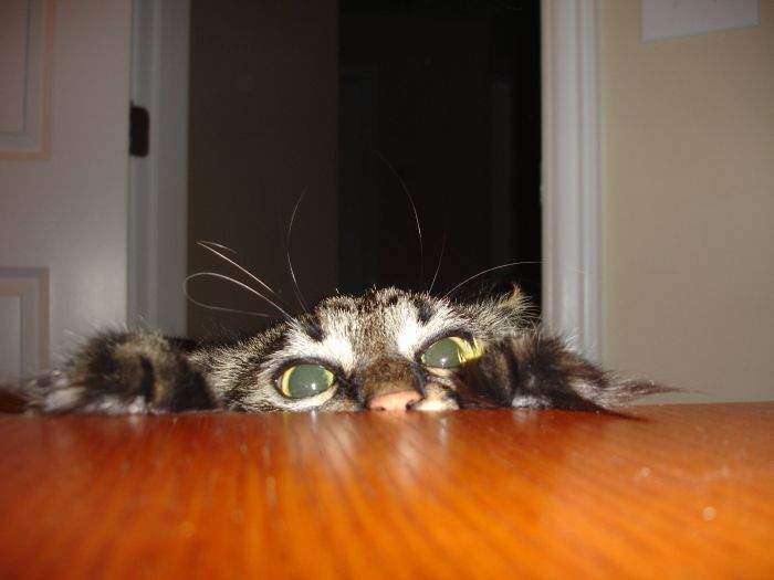 Борис Полищук Андреевич | Воронеж