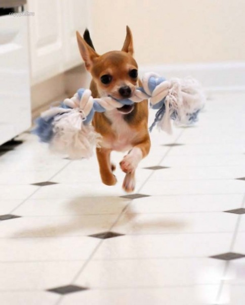 №11, Екатерина Ходжаева, Зеленоград №11, Екатерина Ходжаева, Зеленоград