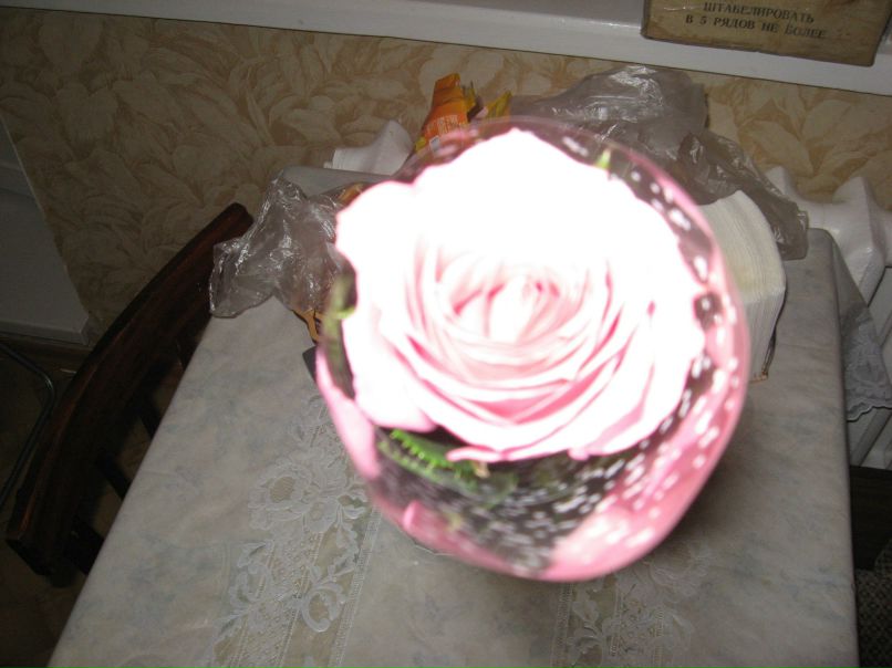 Екатерина Сигорская | Новосибирск