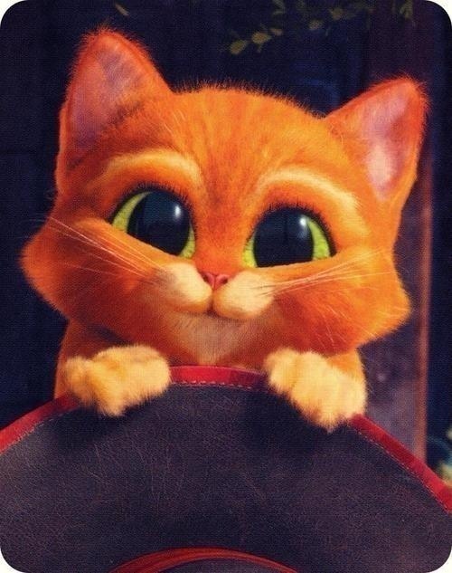 Анастасия Голова | Москва