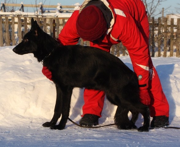 Нина Лазарева | Воскресенск