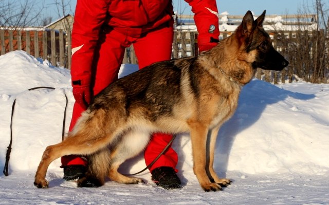 Нина Лазарева | Воскресенск